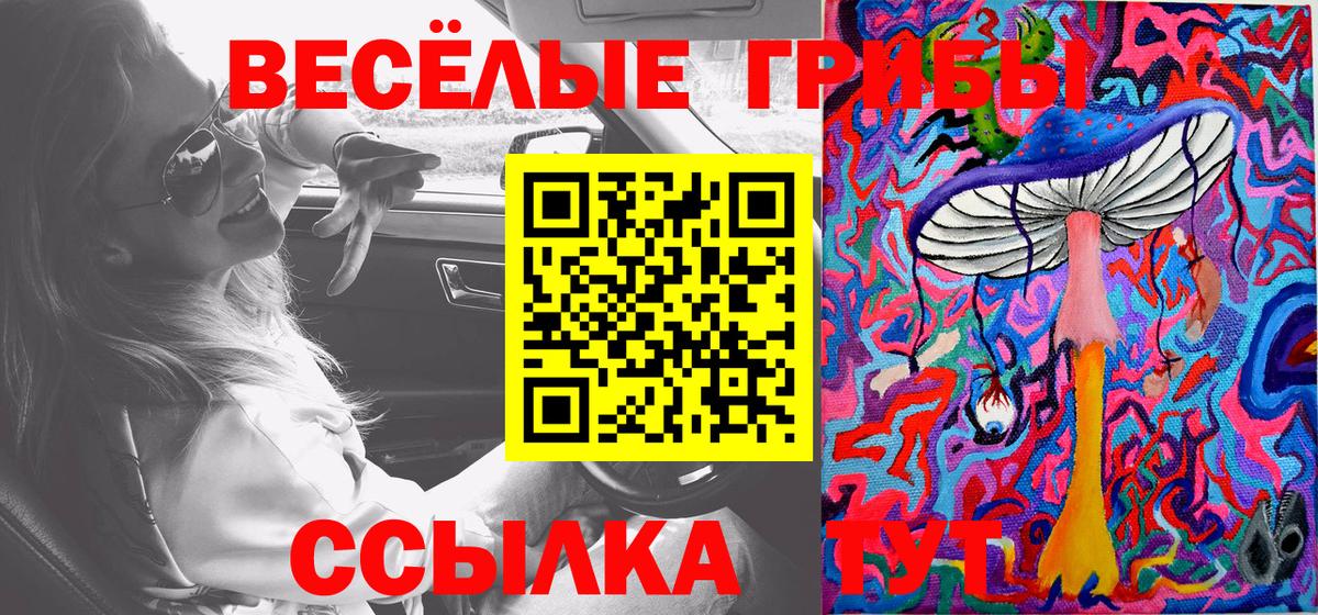 Галлюциногенные грибы мухоморы Краснознаменск